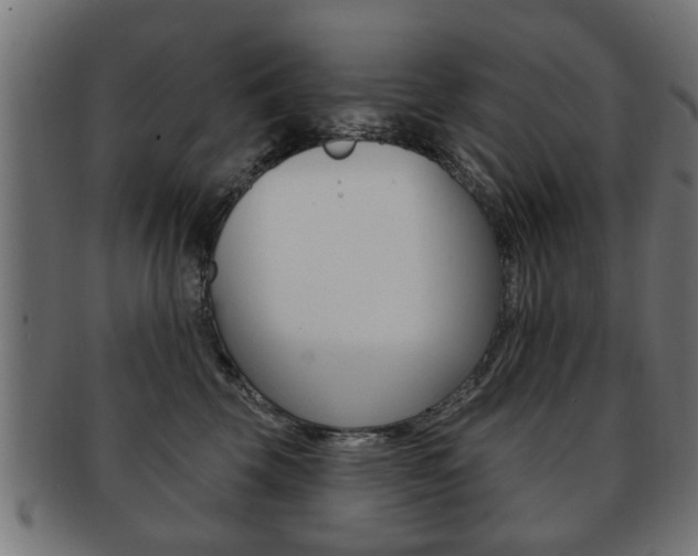 X0000091990569200709061223
