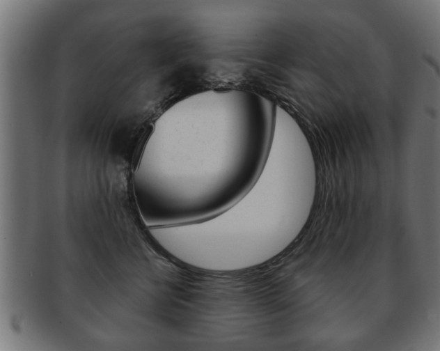 X0000091990570200709061223