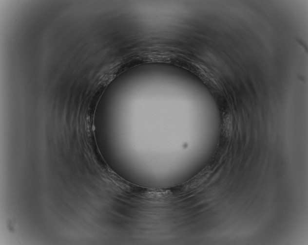 X0000091990571200709061223