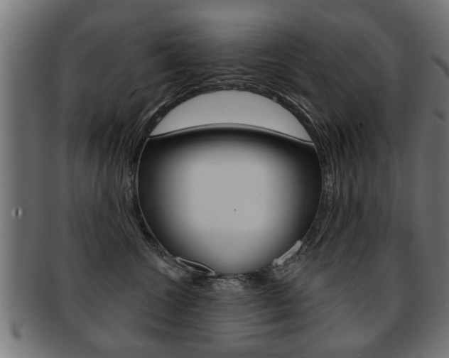X0000091990572200709061223