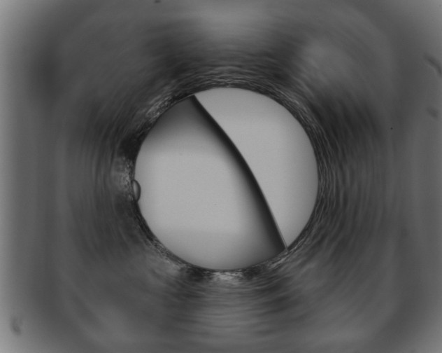 X0000091990573200709061223