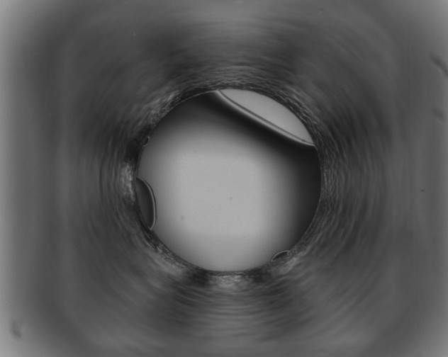 X0000091990575200709061223