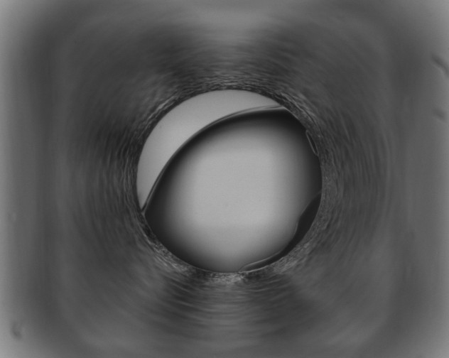 X0000091990576200709061223