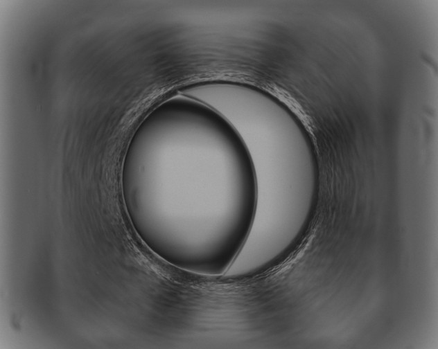 X0000091990577200709061223