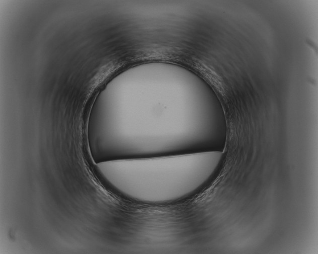 X0000091990578200709061223