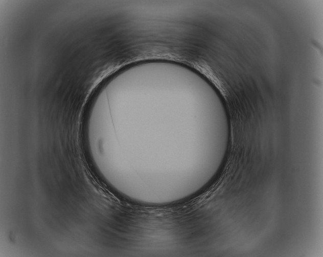 X0000091990579200709061223