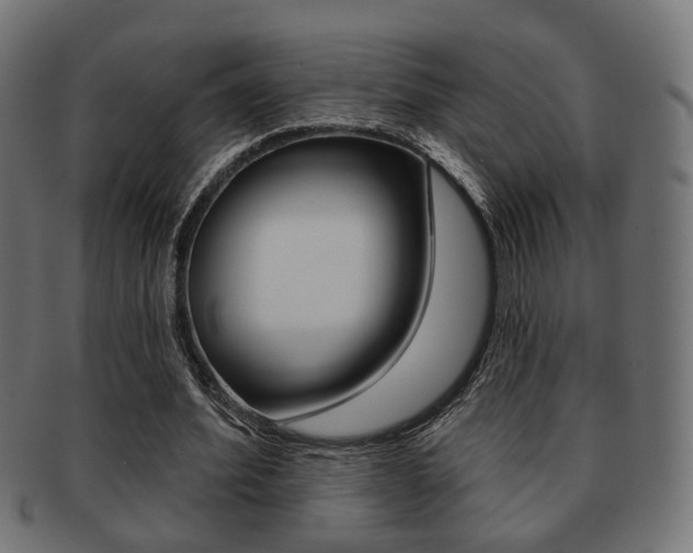 X0000091990580200709061223