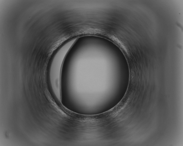 X0000091990581200709061222