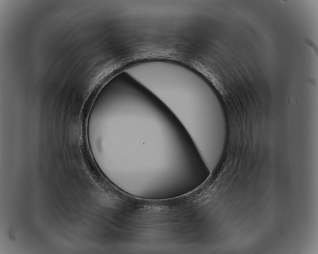 X0000091990582200709061222