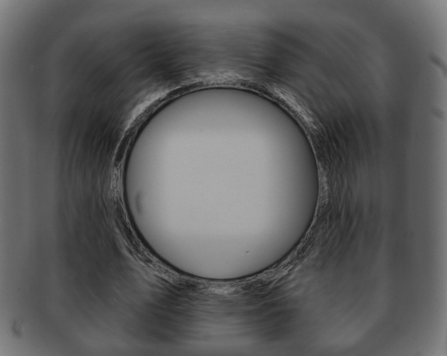 X0000091990583200709061222