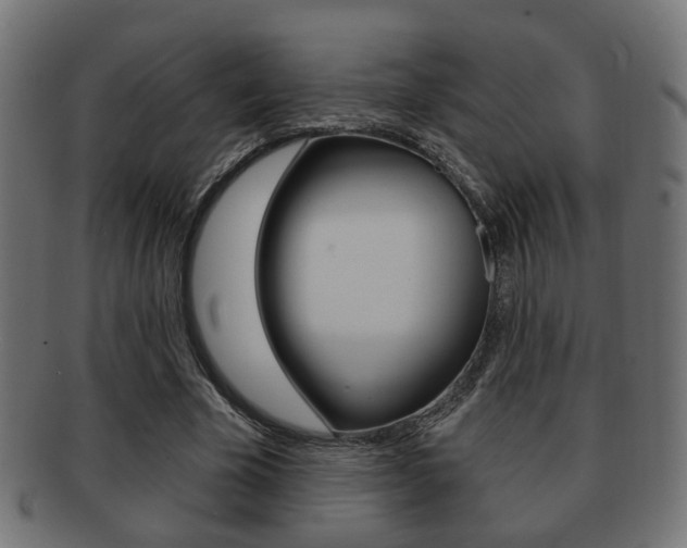 X0000091990585200709061222