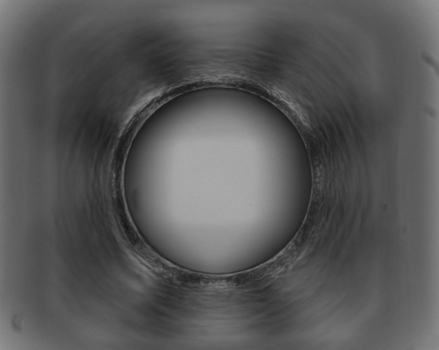 X0000091990587200709061222