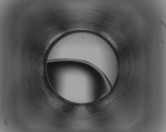 X0000091990588200709061222