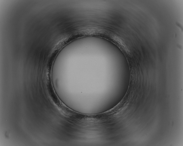 X0000091990590200709061222