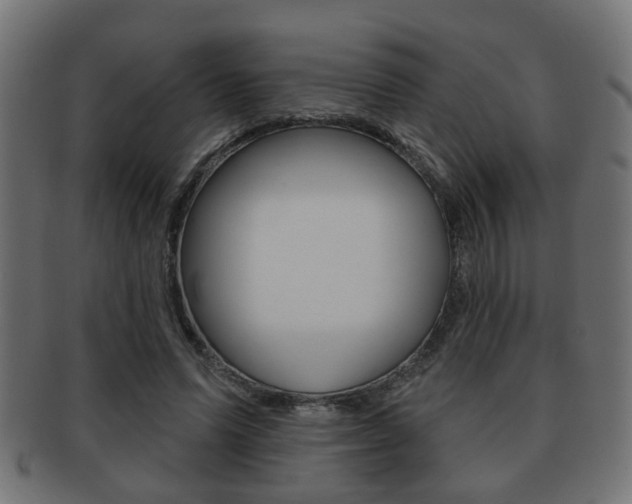 X0000091990591200709061222