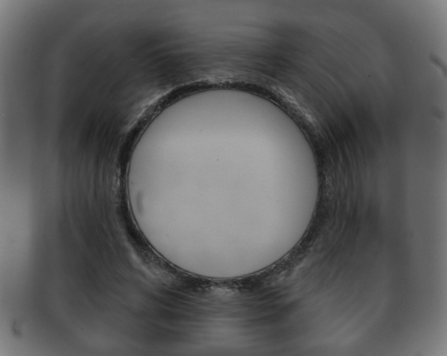 X0000091990592200709061222