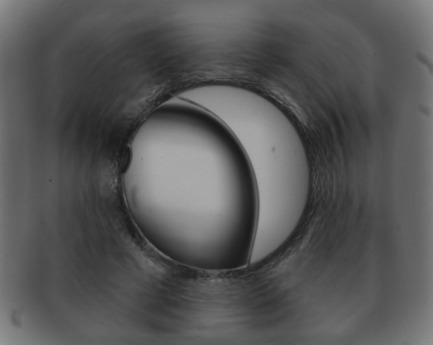 X0000091990593200709061222