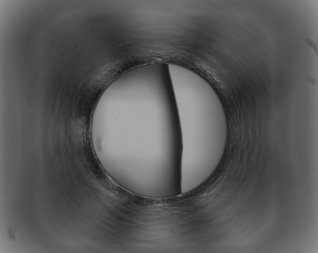 X0000091990594200709061222