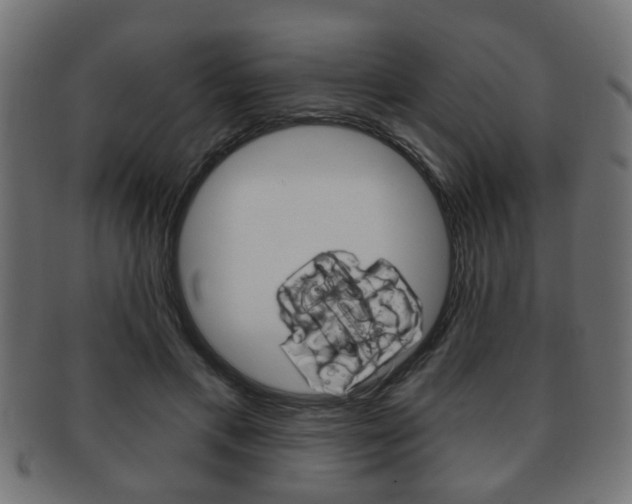 X0000091990597200709061222