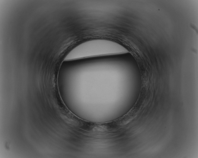 X0000091990599200709061222