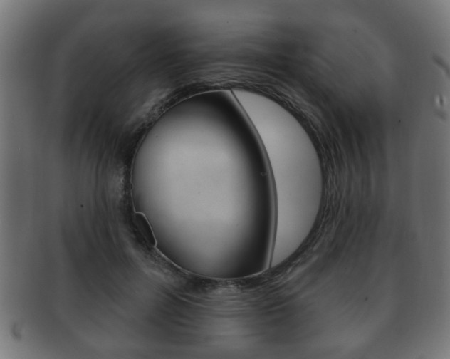 X0000091990600200709061222