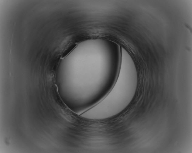 X0000091990601200709061222