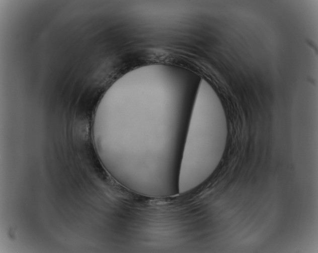 X0000091990602200709061222