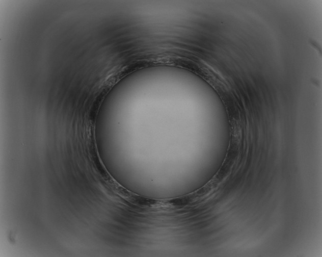 X0000091990603200709061222