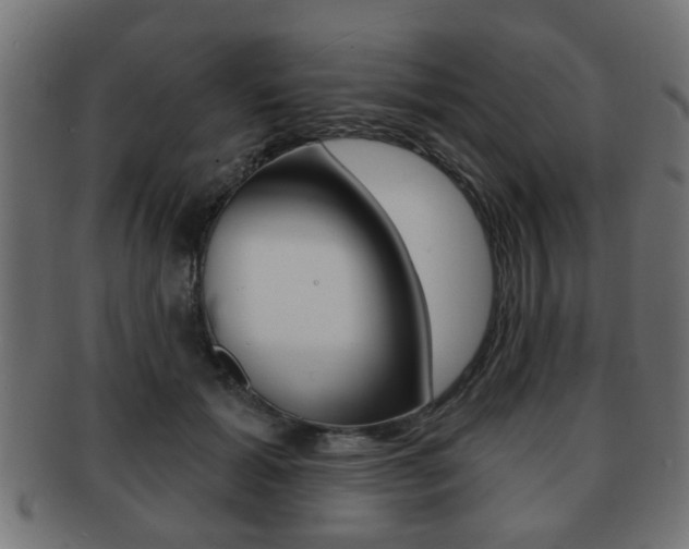 X0000091990605200709061222