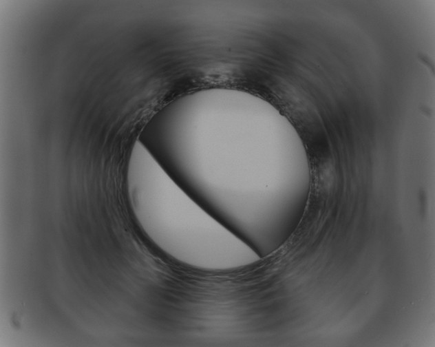 X0000091990606200709061222