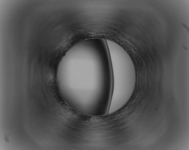 X0000091990608200709061222