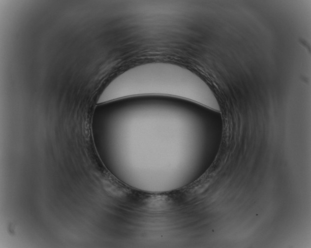 X0000091990609200709061222