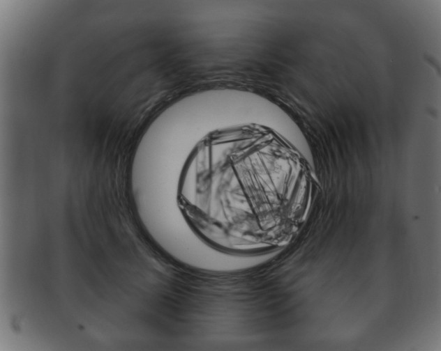 X0000091990611200709061222