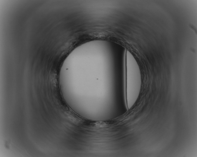 X0000091990612200709061222