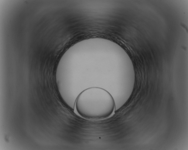 X0000091990613200709061222