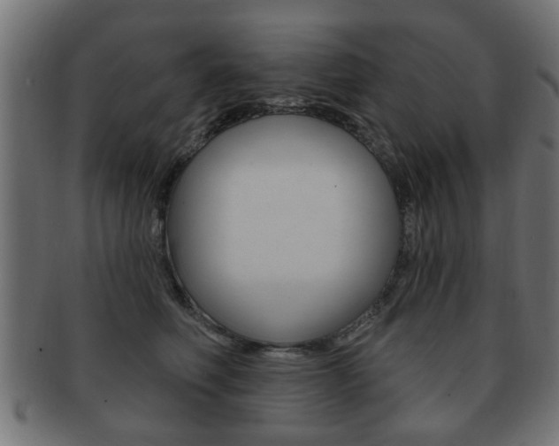 X0000091990614200709061222