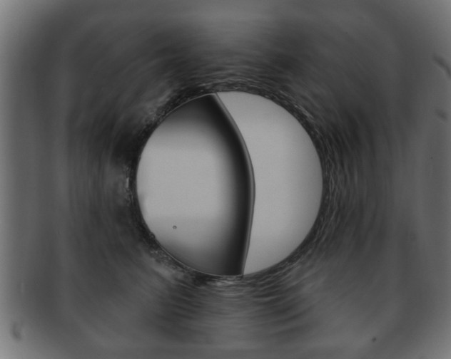 X0000091990615200709061222