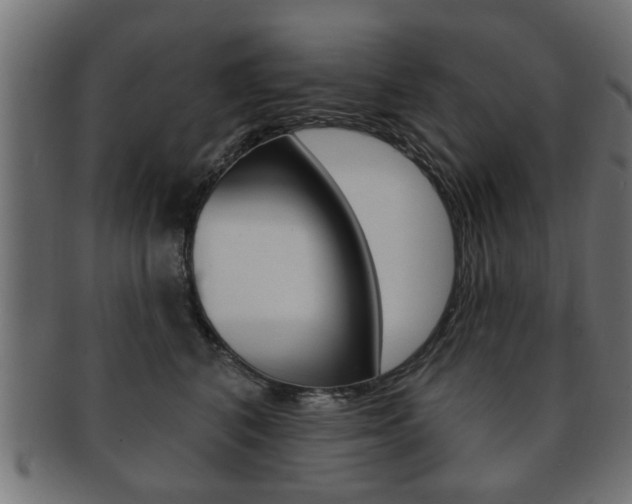 X0000091990616200709061222
