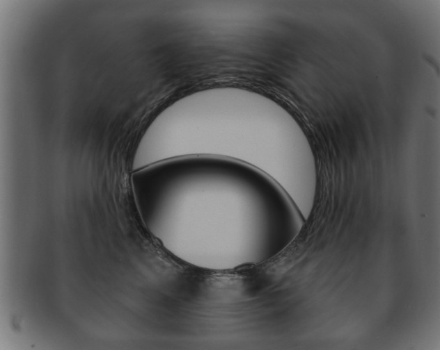 X0000091990617200709061222