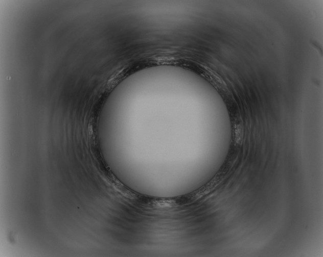 X0000091990618200709061222