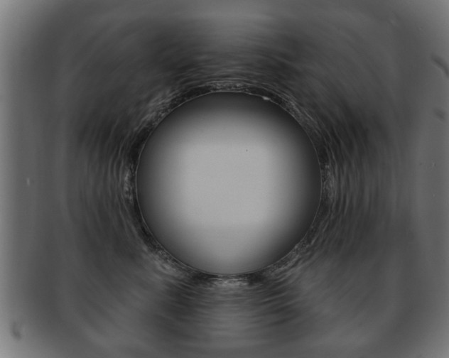 X0000091990619200709061222