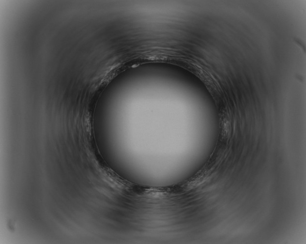 X0000091990620200709061222