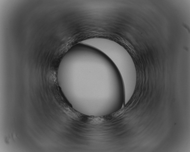 X0000091990621200709061222
