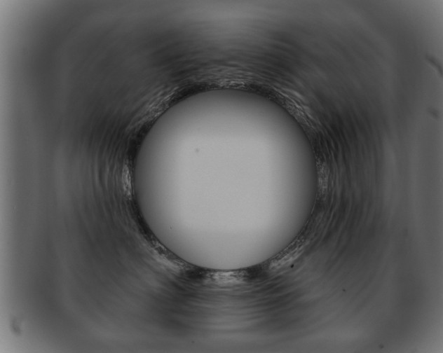 X0000091990622200709061222