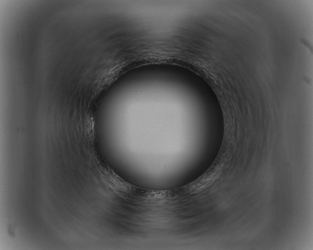 X0000091990624200709061222