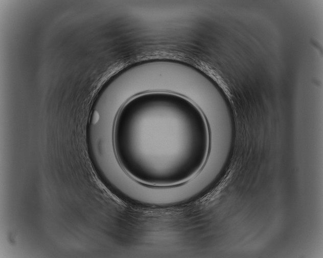 X0000091990625200709061221