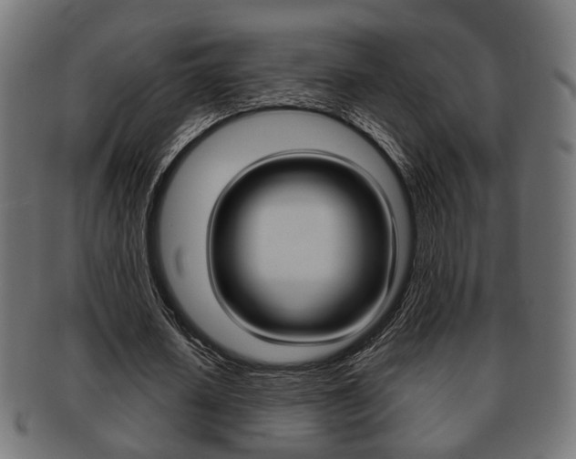 X0000091990626200709061221