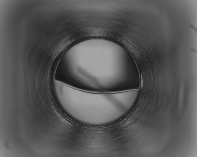 X0000091990627200709061221