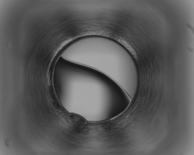 X0000091990628200709061221