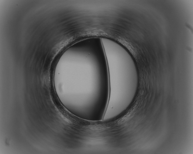 X0000091990630200709061221